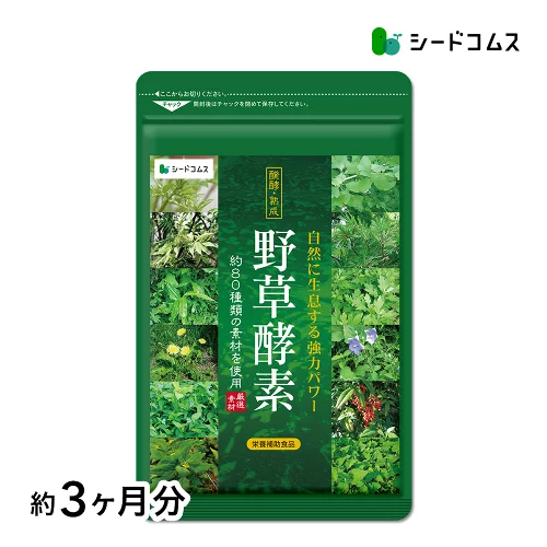 野草酵素《約3ヶ月分》ダイエット サプリ エンザイム 酵素サプリ 酵素 カプセル 野菜 野草 果物 発酵 熟成 送料無料 サプリメント 酵素 野草酵素 野草 酵素ドリンク 健康食品
