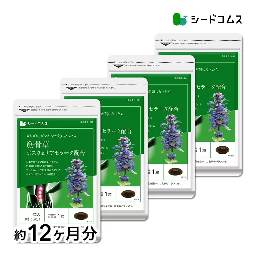 筋骨草＋ボスウェリアセラータ 約12ヶ月分 送料無料 サプリ サプリメント 健康 ボスウェリアセラータ ボスウェリア酸 【seedcoms_D】12D【diet_D1809】【seedcoms_DEAL2】/D0818